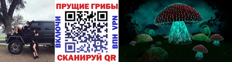 Галлюциногенные грибы ЛСД  купить наркотик  Советский 